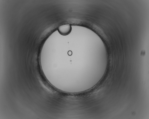 X0000093530538200710121151