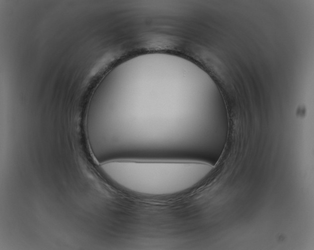 X0000093530539200710121151