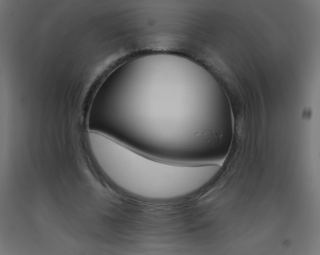 X0000093530540200710121151