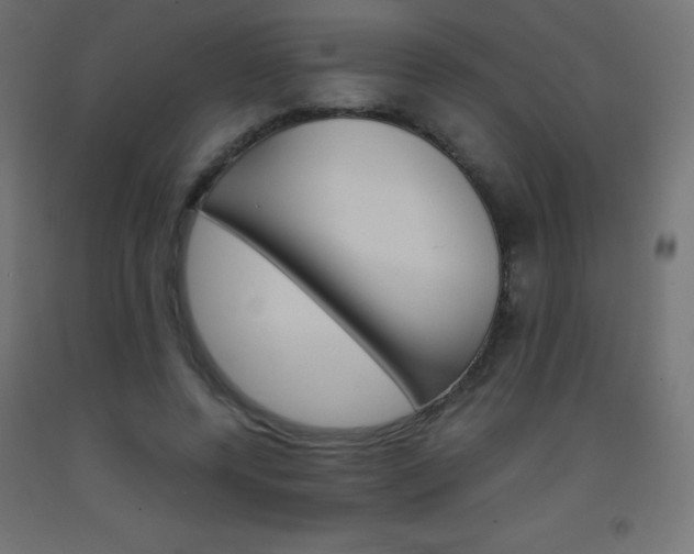 X0000093530544200710121151