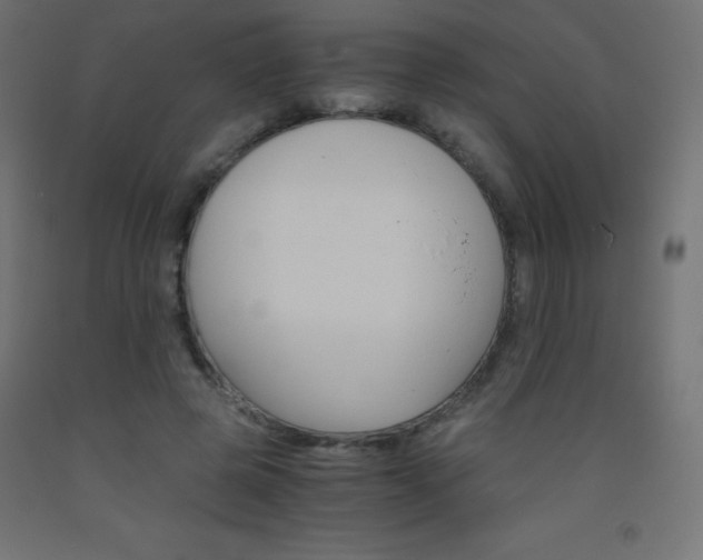 X0000093530545200710121151