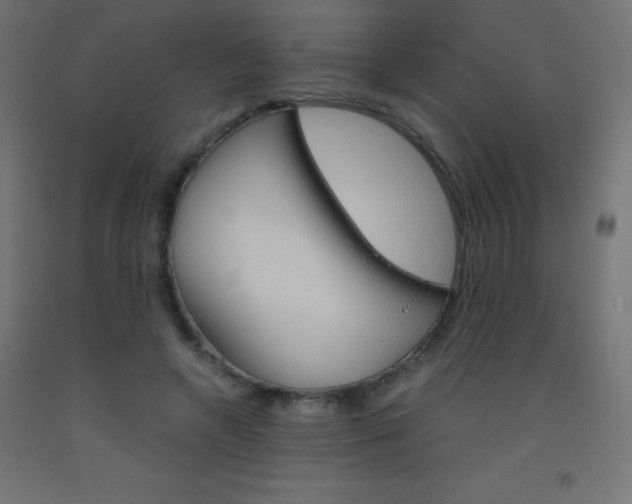X0000093530546200710121151