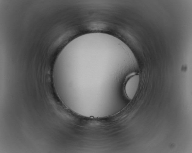 X0000093530547200710121151