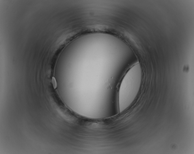 X0000093530548200710121151