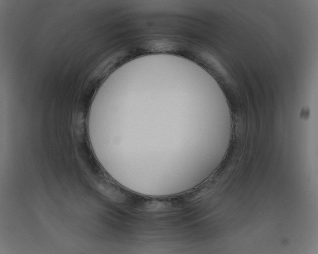 X0000093530549200710121151
