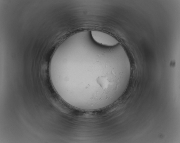 X0000093530550200710121151