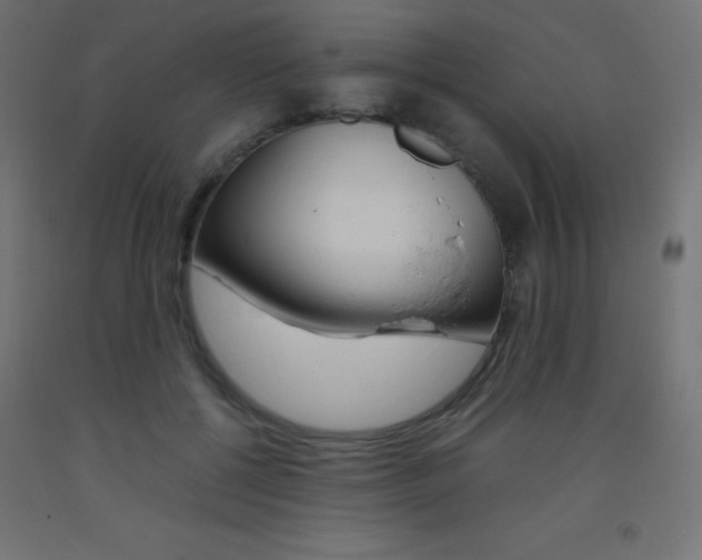 X0000093530552200710121151