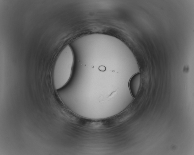X0000093530554200710121151