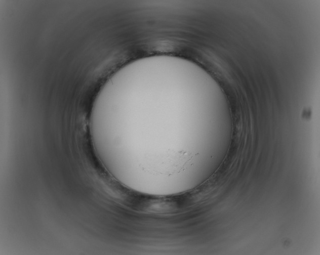 X0000093530555200710121151