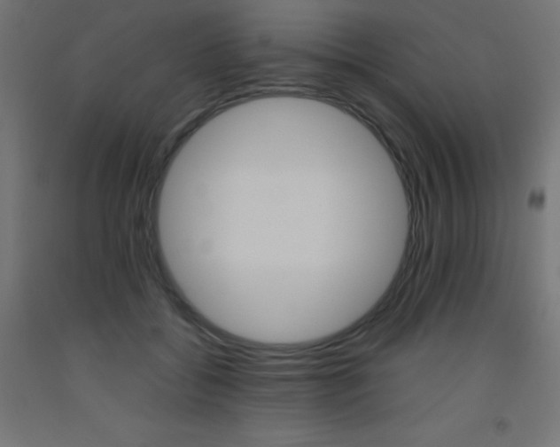 X0000093530556200710121151