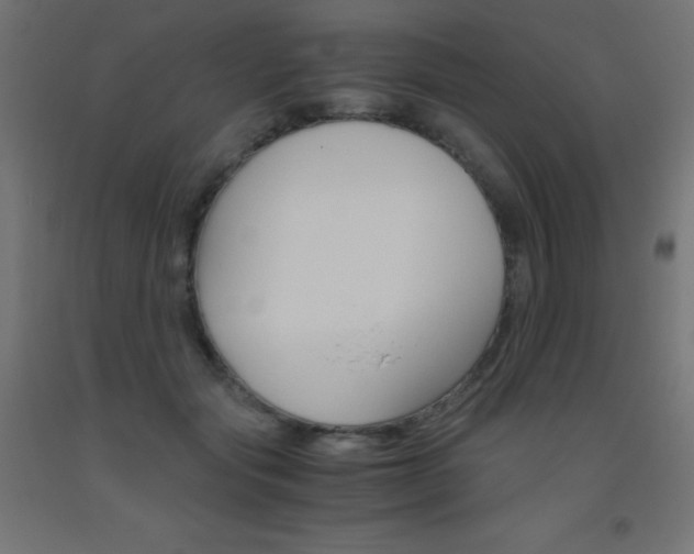 X0000093530557200710121151