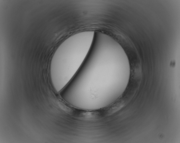 X0000093530558200710121151
