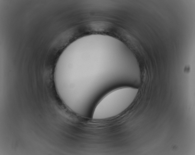 X0000093530559200710121151