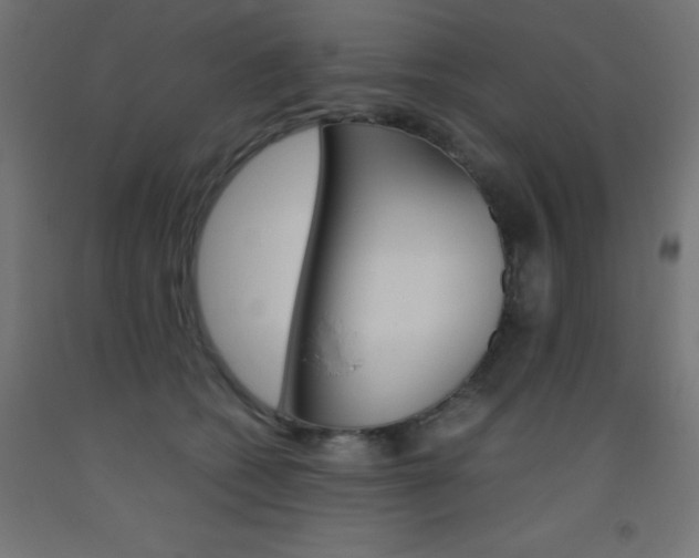X0000093530562200710121151