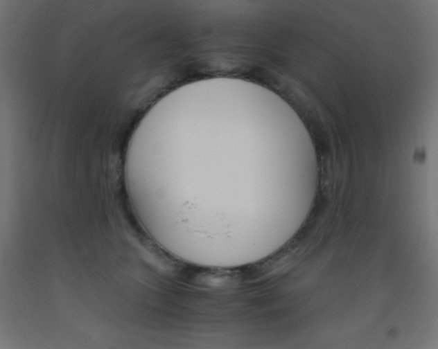 X0000093530563200710121151