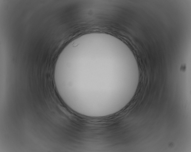 X0000093530564200710121151