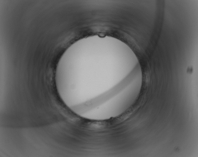 X0000093530567200710121151