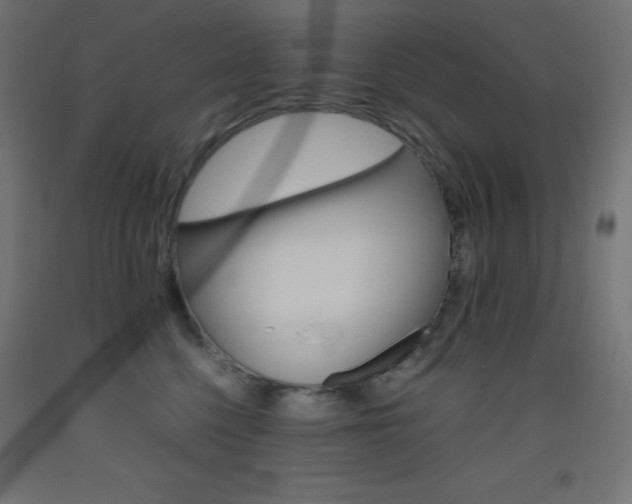 X0000093530568200710121151