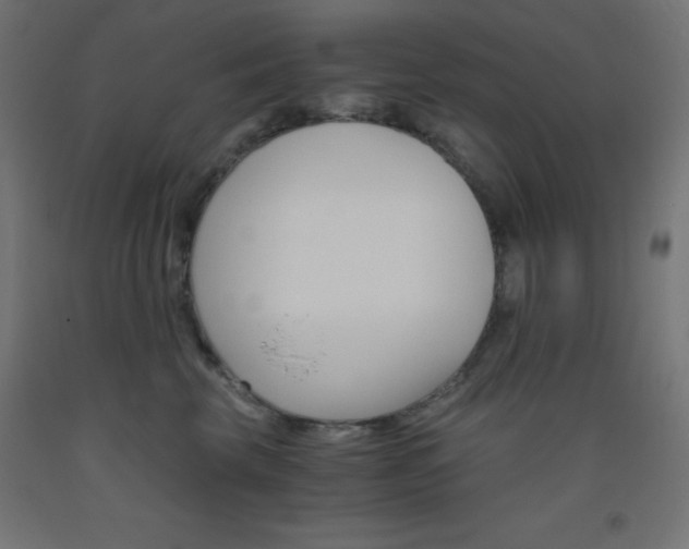 X0000093530569200710121151