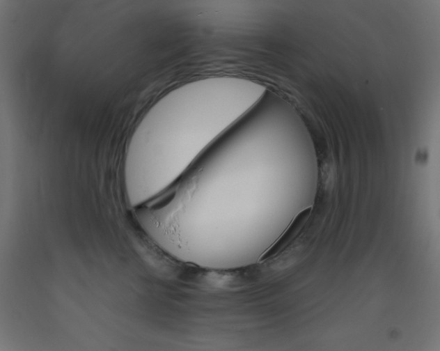 X0000093530570200710121151