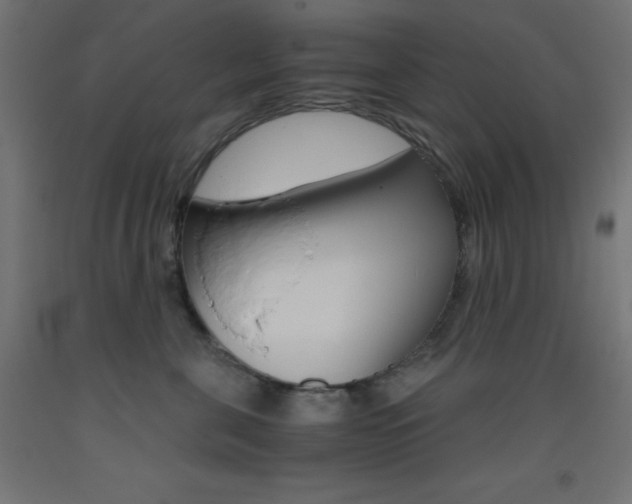 X0000093530571200710121151