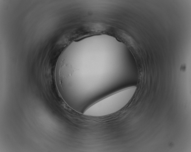 X0000093530572200710121151