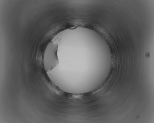 X0000093530573200710121151