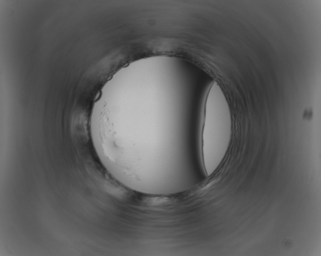 X0000093530575200710121152