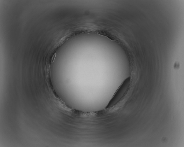 X0000093530576200710121152
