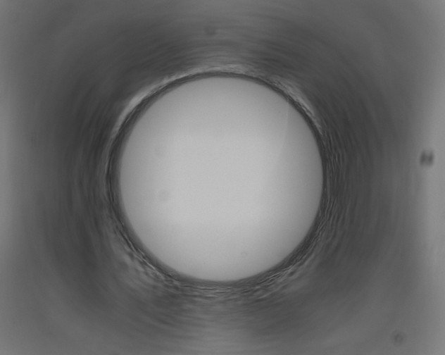 X0000093530579200710121151
