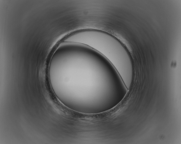 X0000093530580200710121151