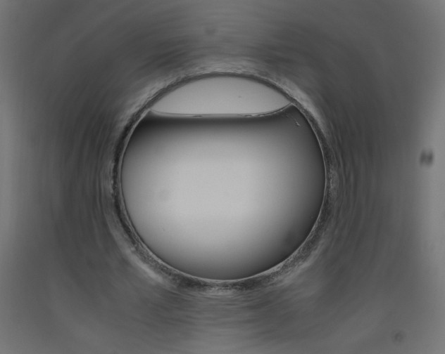 X0000093530581200710121151