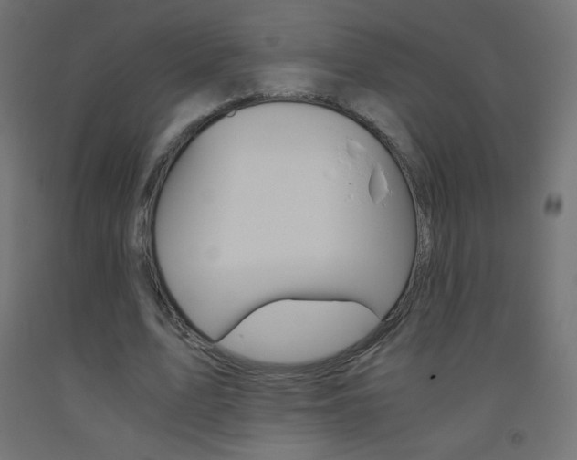 X0000093530583200710121151