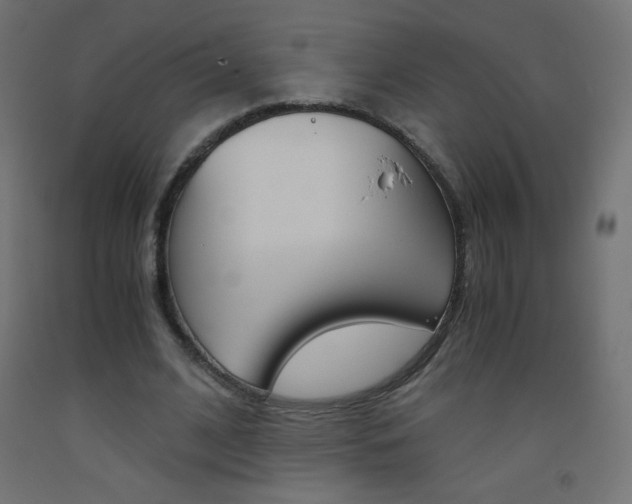 X0000093530584200710121151