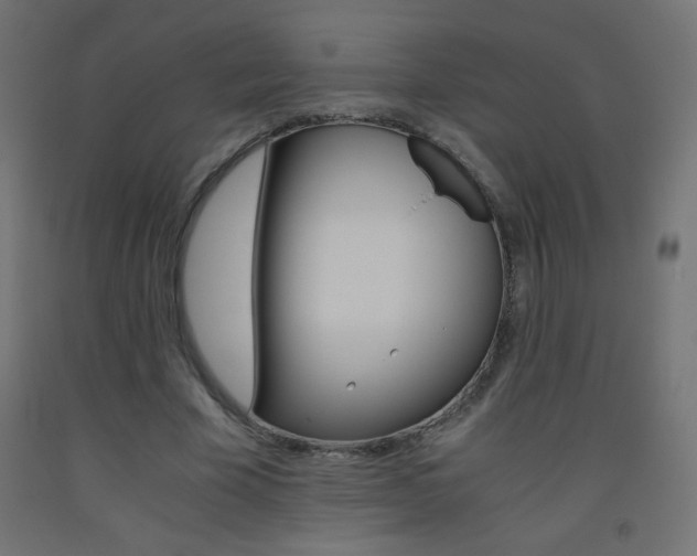 X0000093530585200710121151