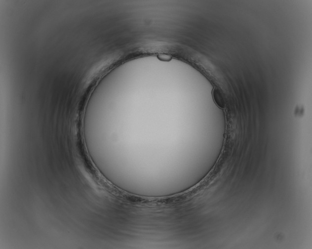 X0000093530586200710121151
