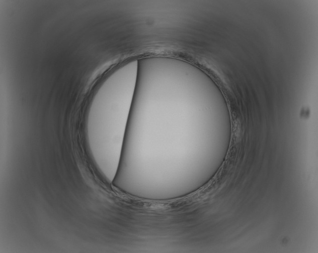 X0000093530587200710121151