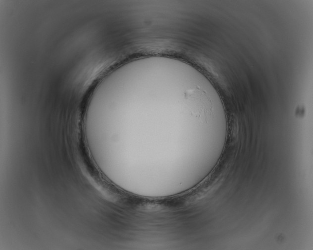 X0000093530590200710121151