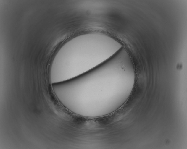 X0000093530591200710121151