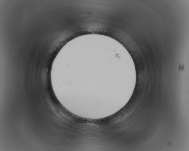 X0000093530592200710121151