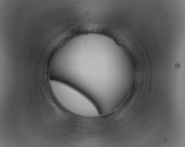 X0000093530593200710121151