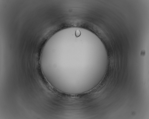 X0000093530594200710121151