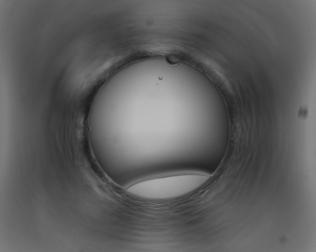 X0000093530596200710121151