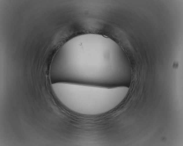 X0000093530599200710121151
