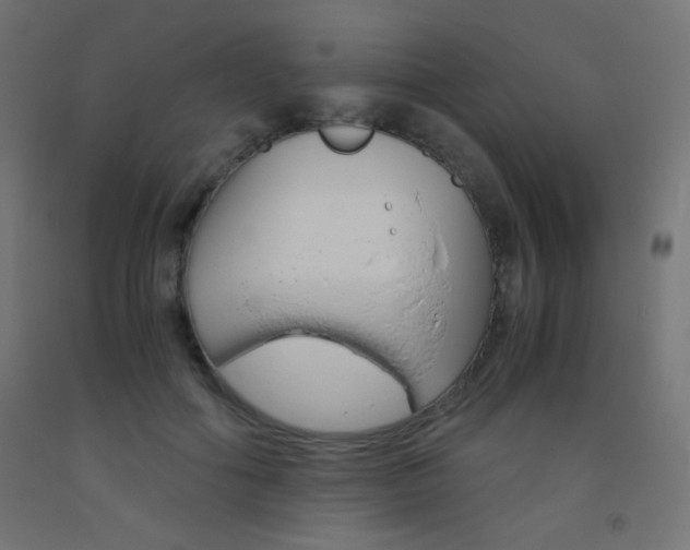 X0000093530602200710121151
