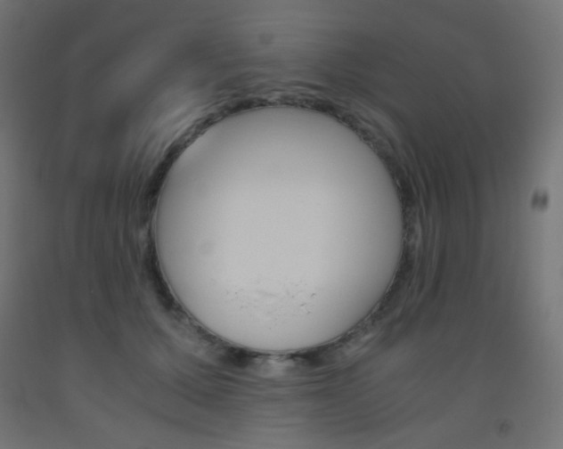 X0000093530607200710121151