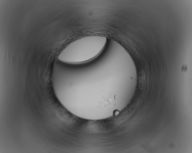 X0000093530608200710121151