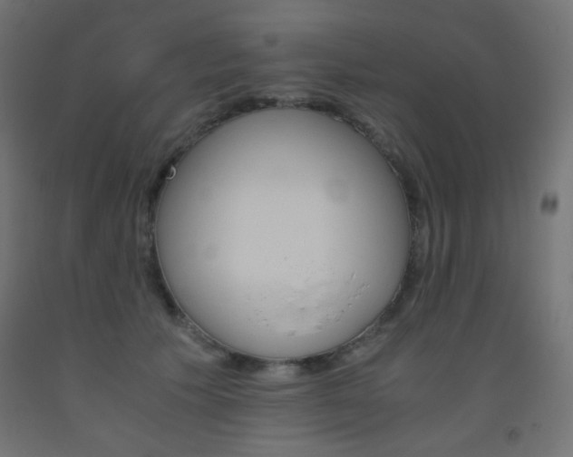 X0000093530609200710121151
