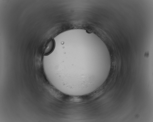 X0000093530610200710121151