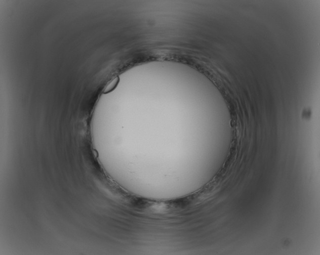 X0000093530611200710121150